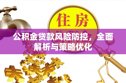 银海公积金贷款风险防控，全面解析与策略优化